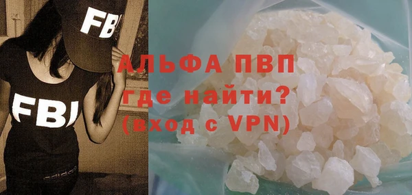 ешки Бородино