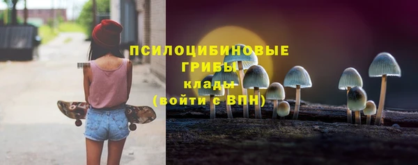 дживик Бугульма