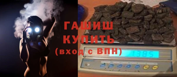 ешки Бородино