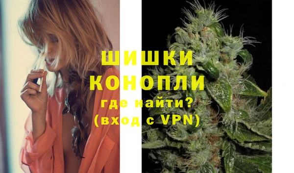 ешки Бородино