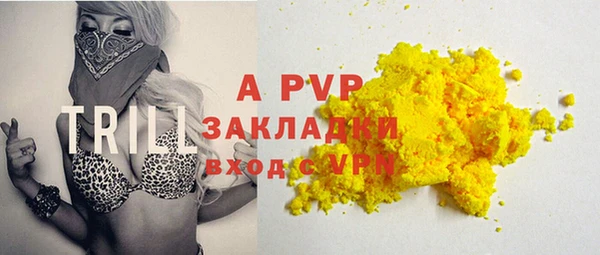 ешки Бородино