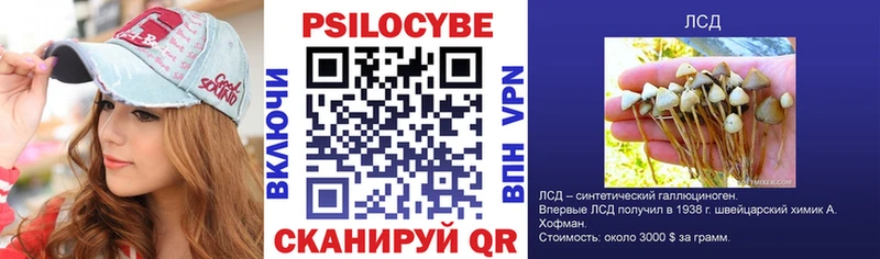 Псилоцибиновые грибы Psilocybine cubensis  Купить  Надым 